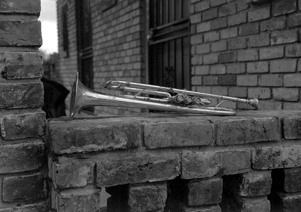 trumpet on the wall