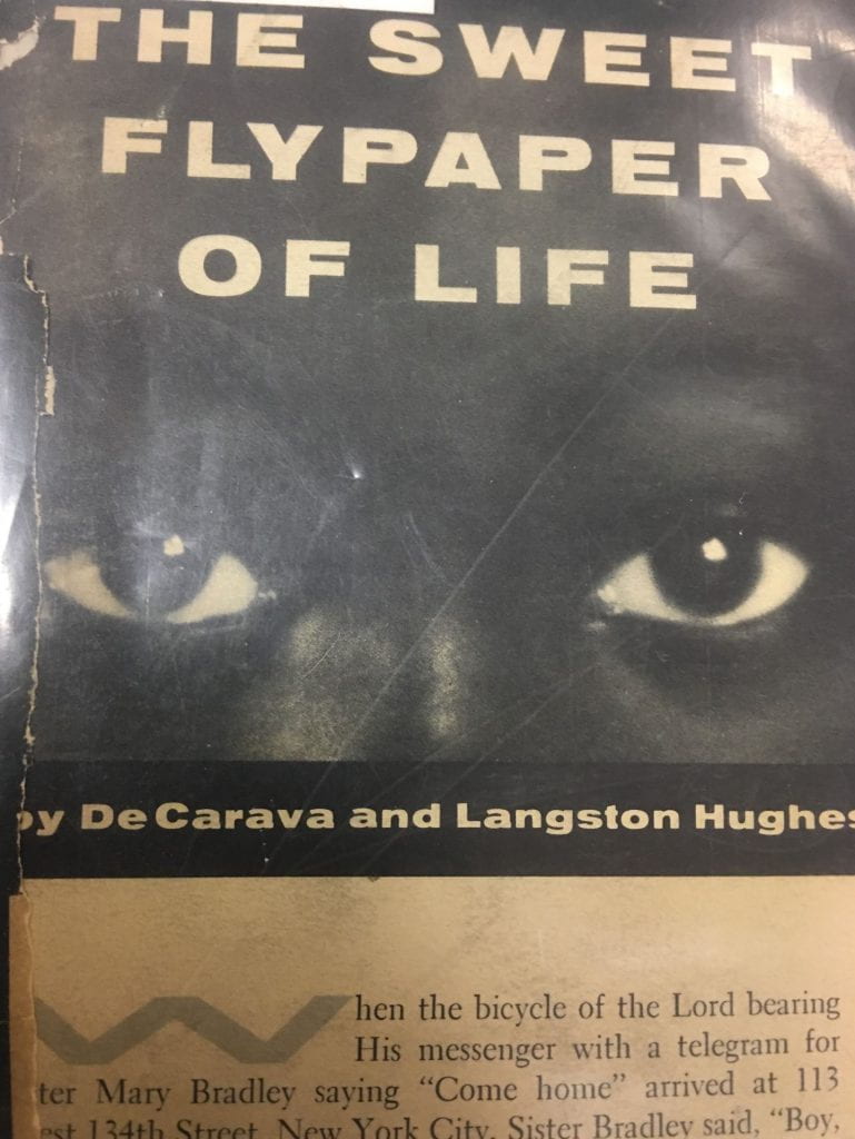 eyes on the cover for the  sweet flypaper of life